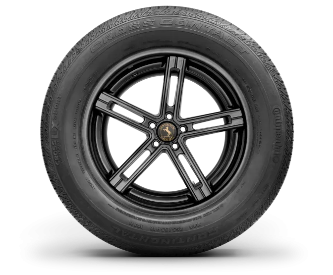 product-image-3