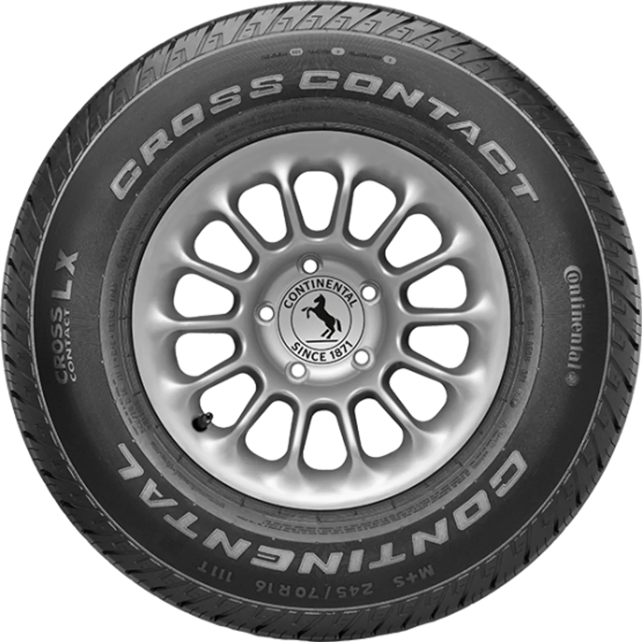 product-image-3